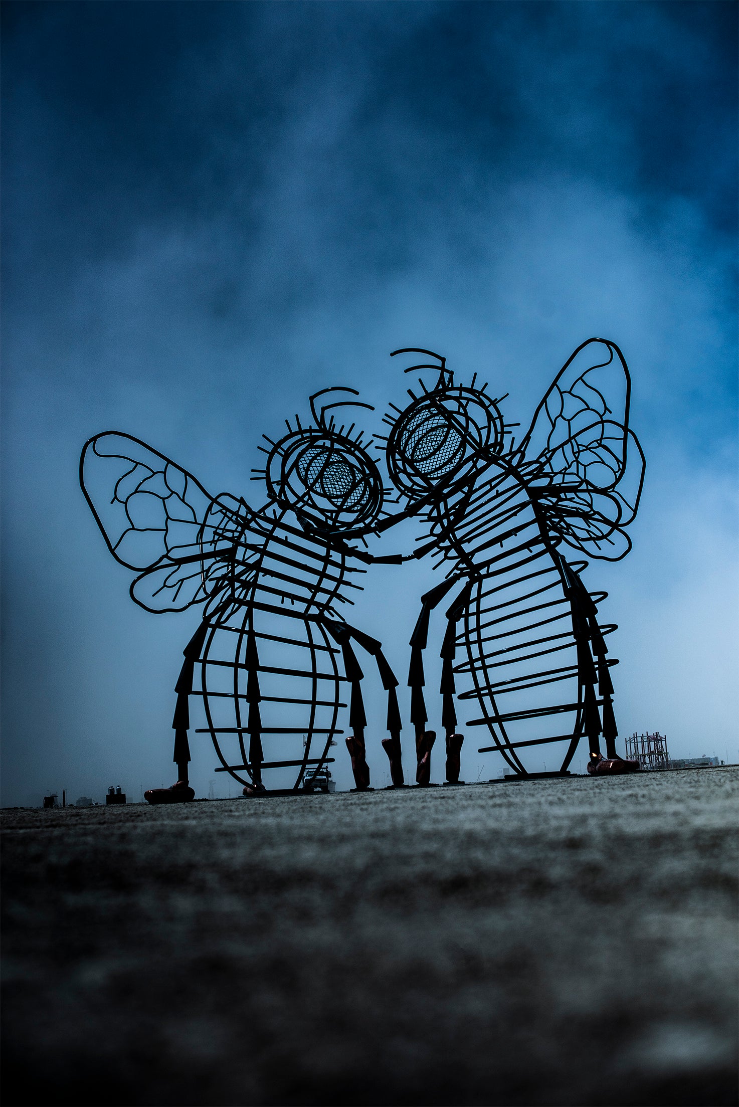 Bees by imustbedead