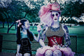 Candyland