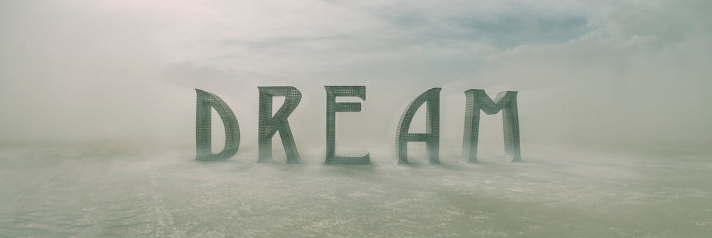 burningman dream burning man photography